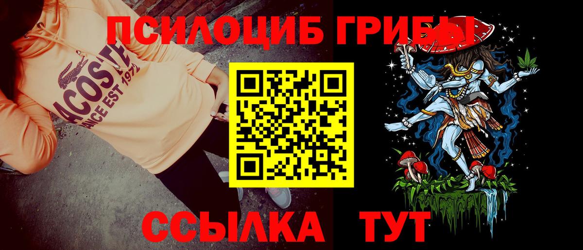 Псилоцибиновые грибы мухоморы Буйнакск