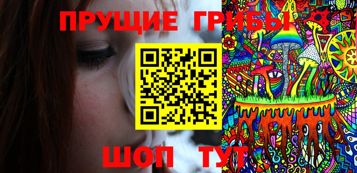 Псилоцибиновые грибы мицелий  Вход с VPN  Буйнакск 